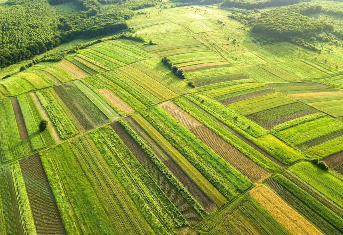 blog-bg-04 blog-bg-04