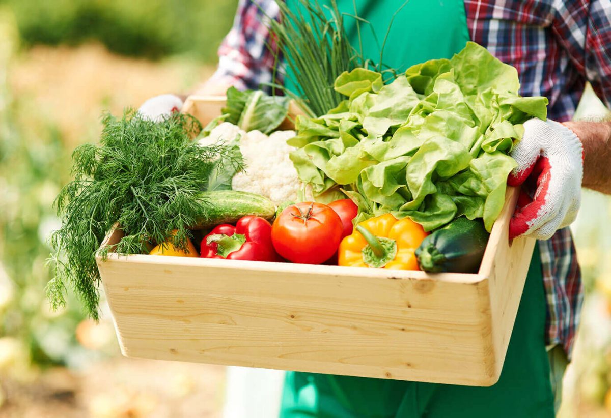 blog-bg-06 blog-bg-06