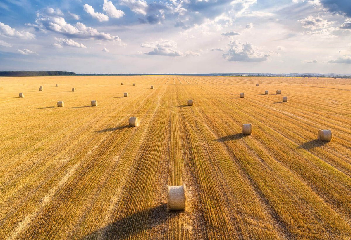 blog-bg-11 blog-bg-11