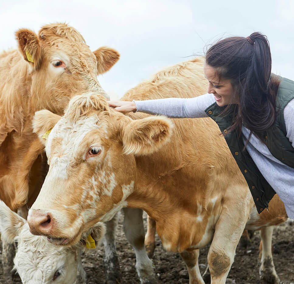 blog-bg-17 blog-bg-17