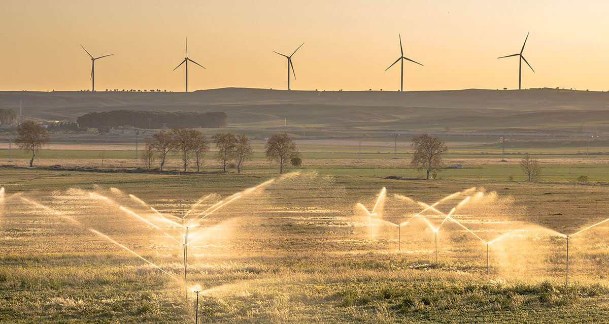 service2-bg-01 service2-bg-01