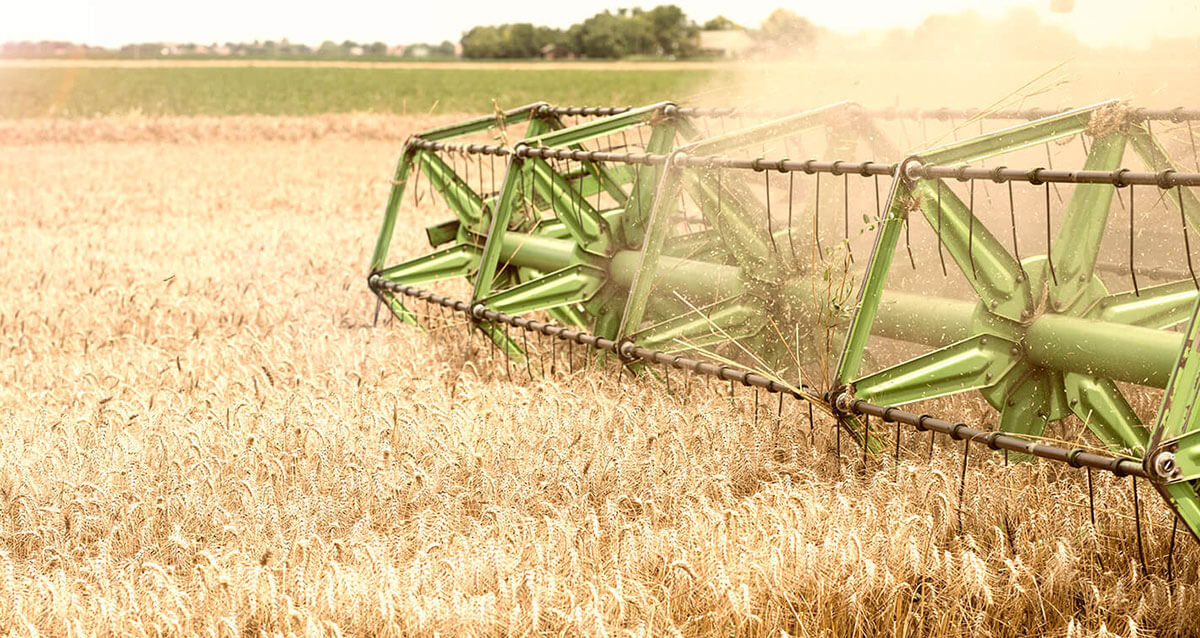 service2-bg-05 service2-bg-05